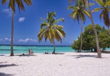 How Important is Travel to Our Well-Being?